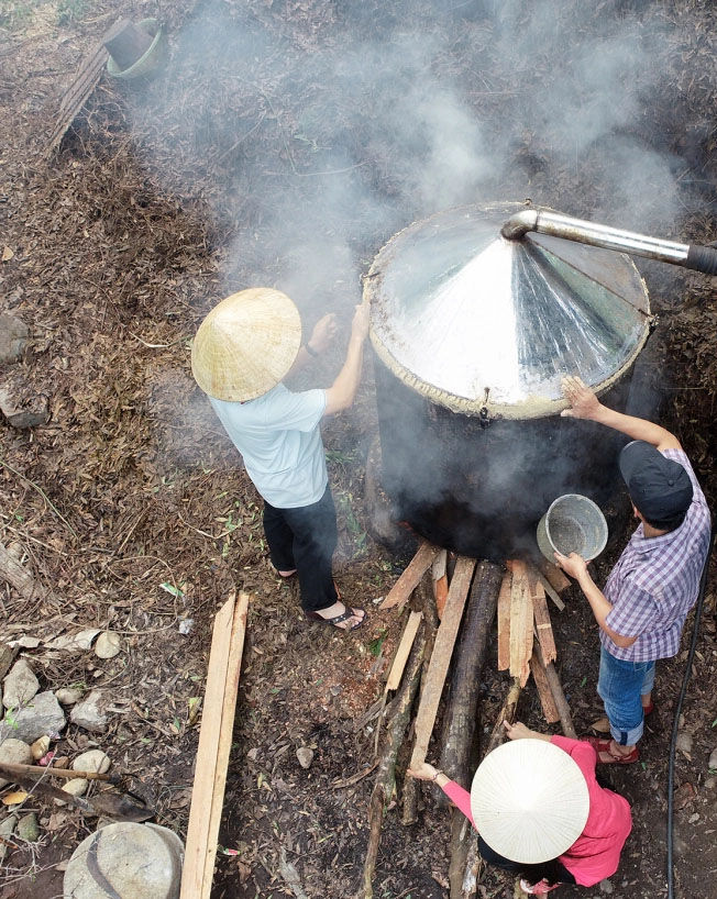 Seize the cultural essence of Vietnam’s artistry